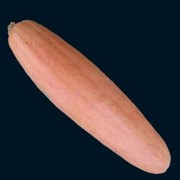 Семена американской тыквы Большой Розовый Банан (5 шт.)