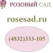 Розовый сад. Доставка Брянск